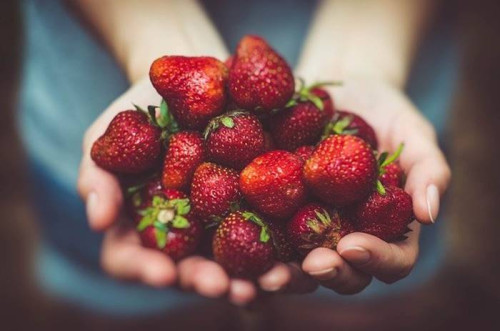 Famous Fruit in Strawberrie
